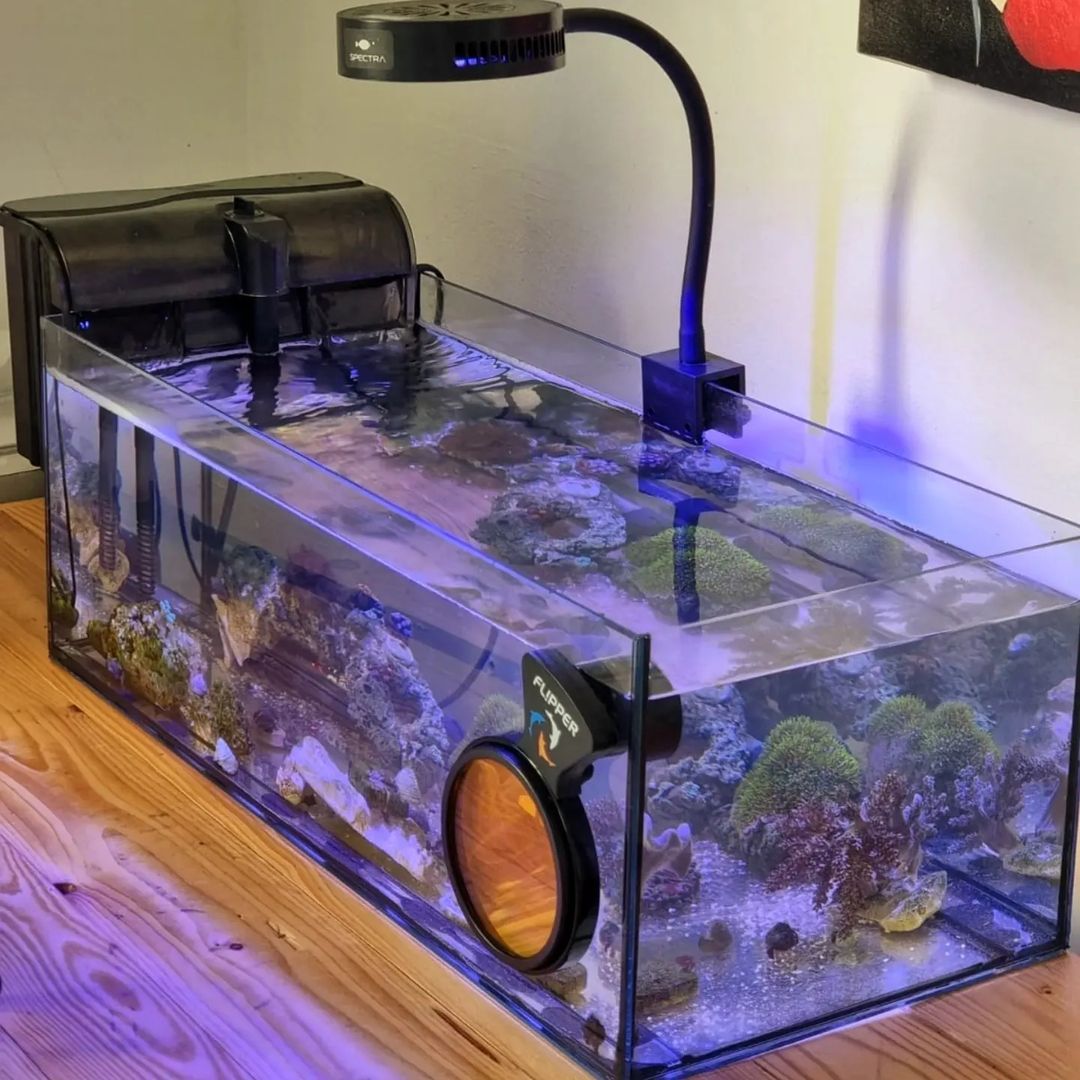 Snapinsta.app_355421657_974636830239742_1297396253933795097_n_1080