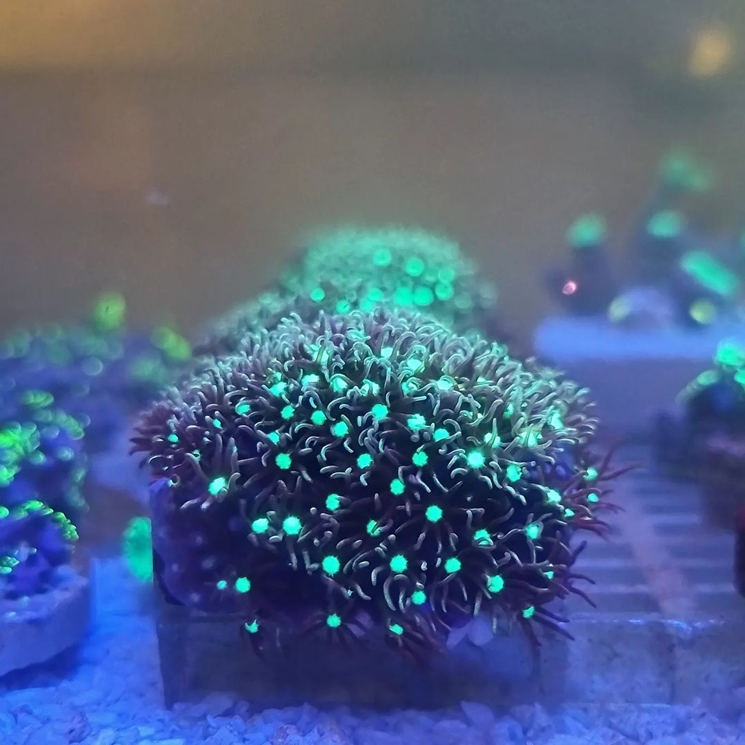 Snapinsta.app_363496834_294970696540999_2335128365372765778_n_1080