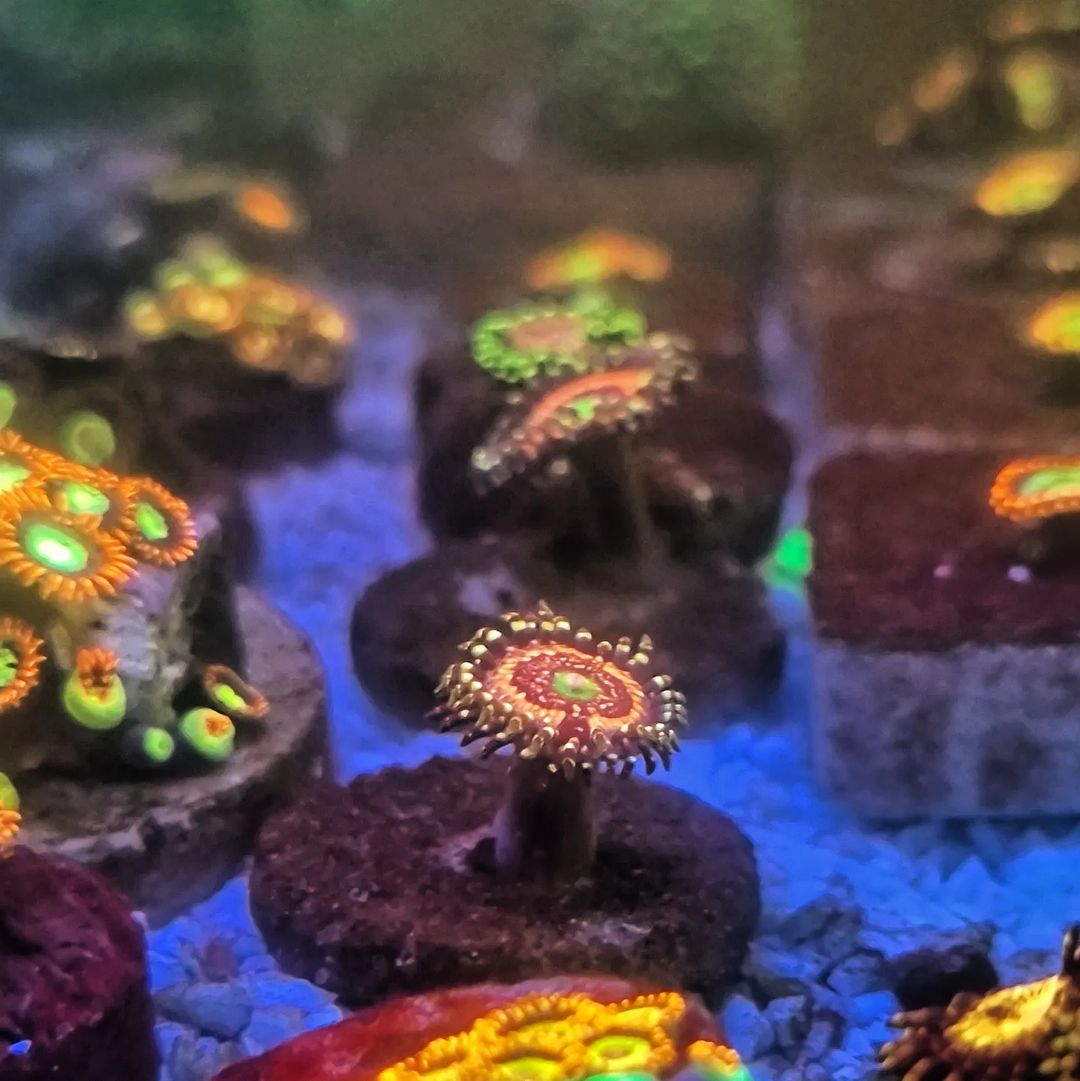 Snapinsta.app_371453568_2653365384802952_5098376731287199006_n_1080